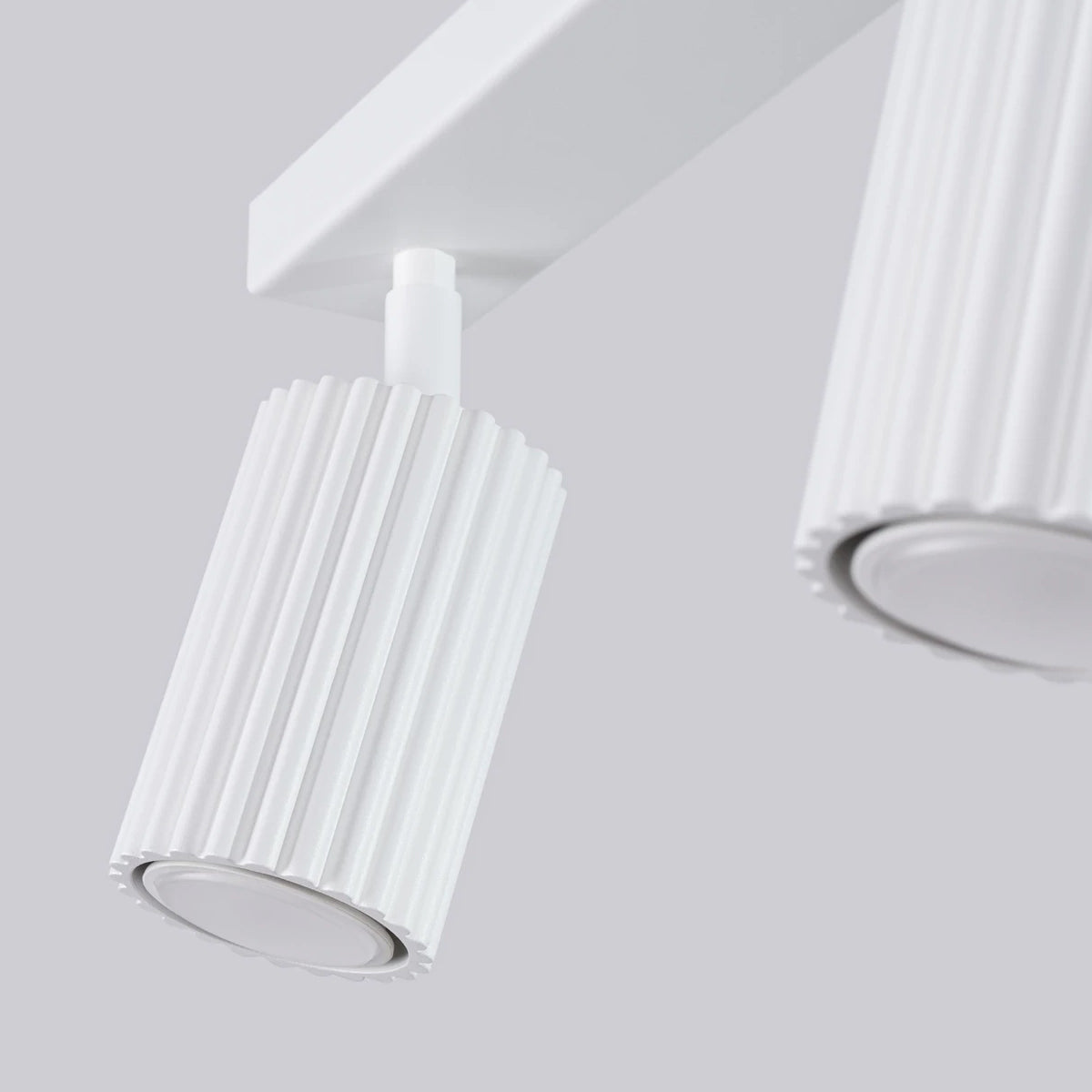 Aluminium Ceiling Light With 2 Karbon Lamps - Deep Space
