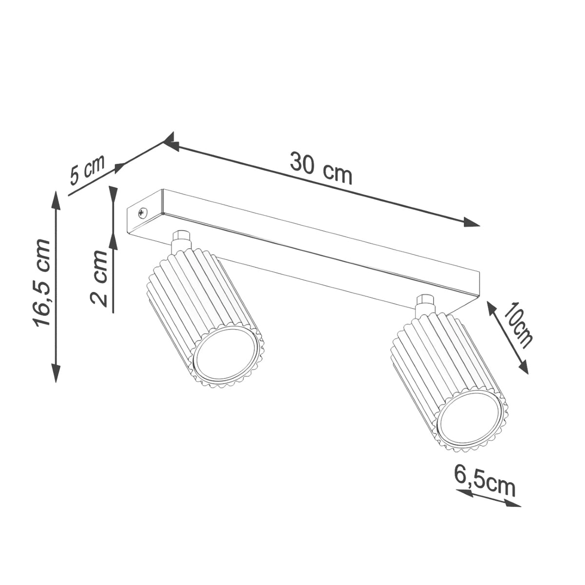 Aluminium Ceiling Light With 2 Karbon Lamps - Deep Space