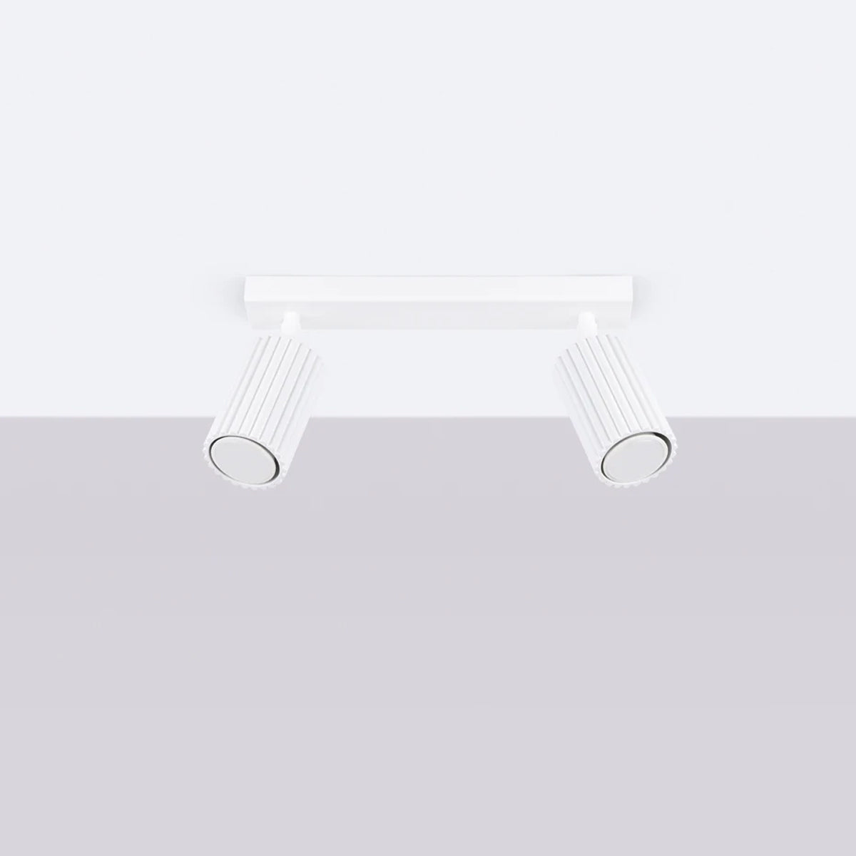 Aluminium Ceiling Light With 2 Karbon Lamps - Deep Space