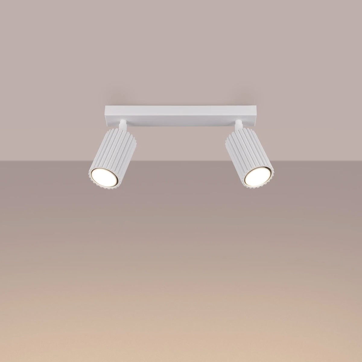 Aluminium Ceiling Light With 2 Karbon Lamps - Deep Space