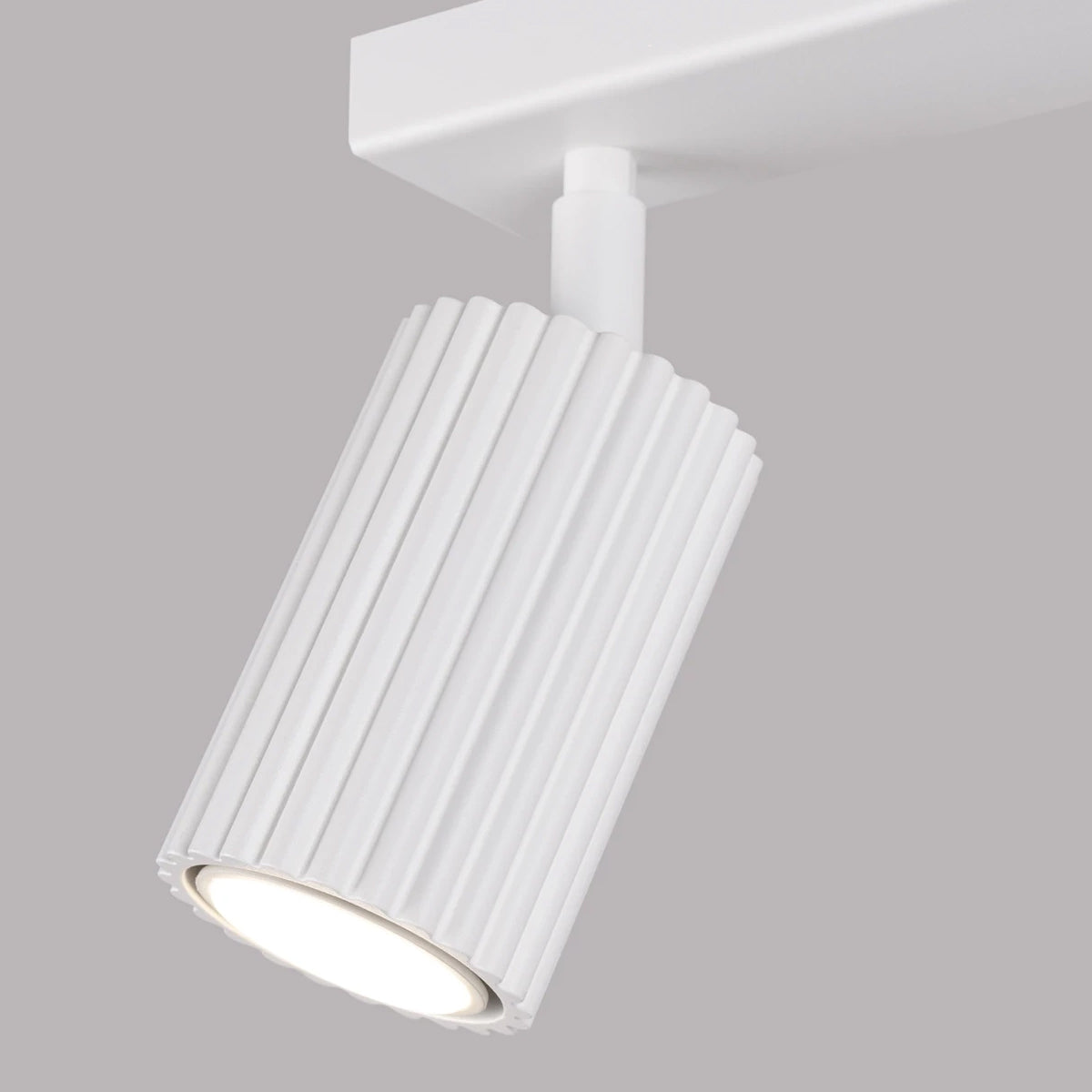 Aluminium Ceiling Light With 2 Karbon Lamps - Deep Space