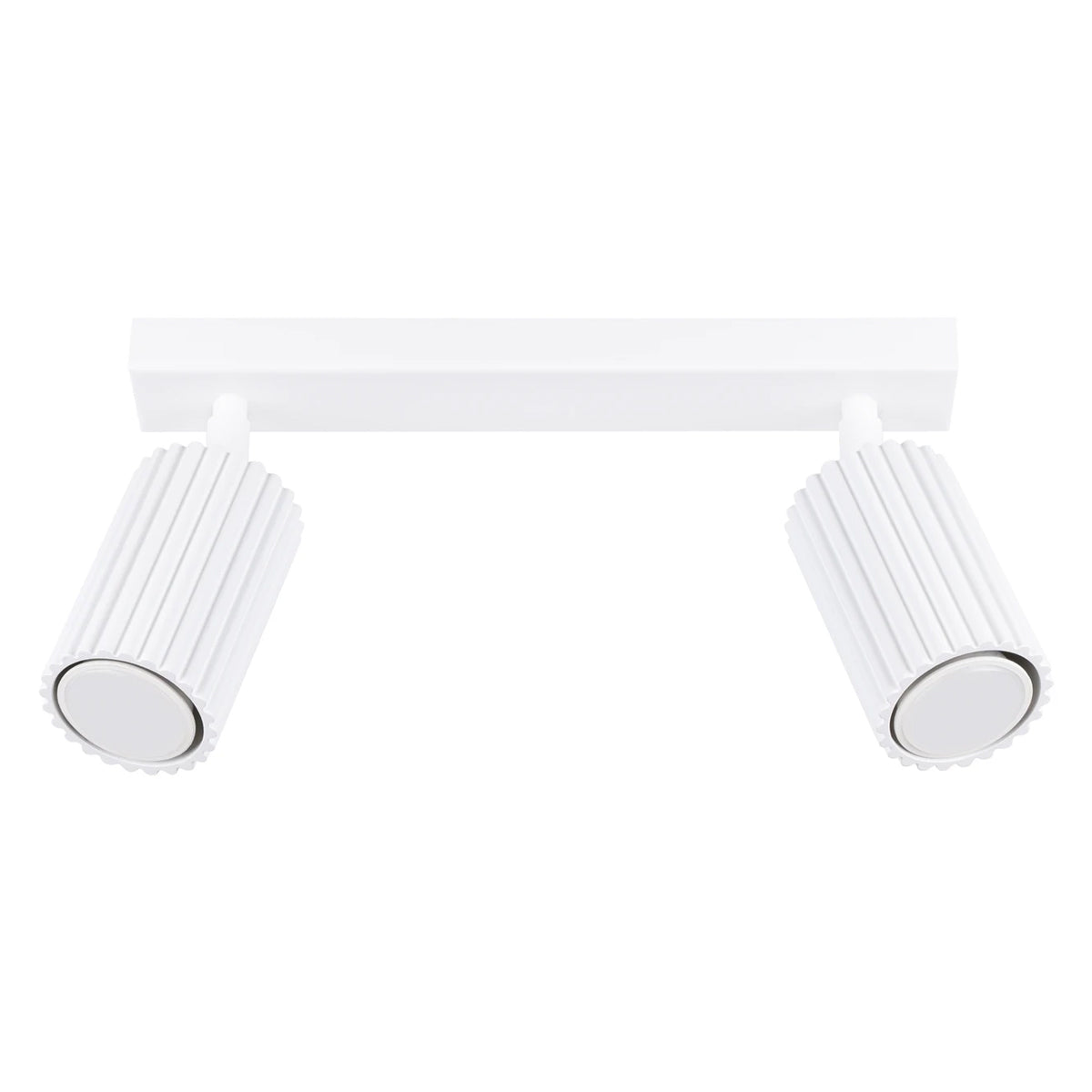 Aluminium Ceiling Light With 2 Karbon Lamps - Deep Space