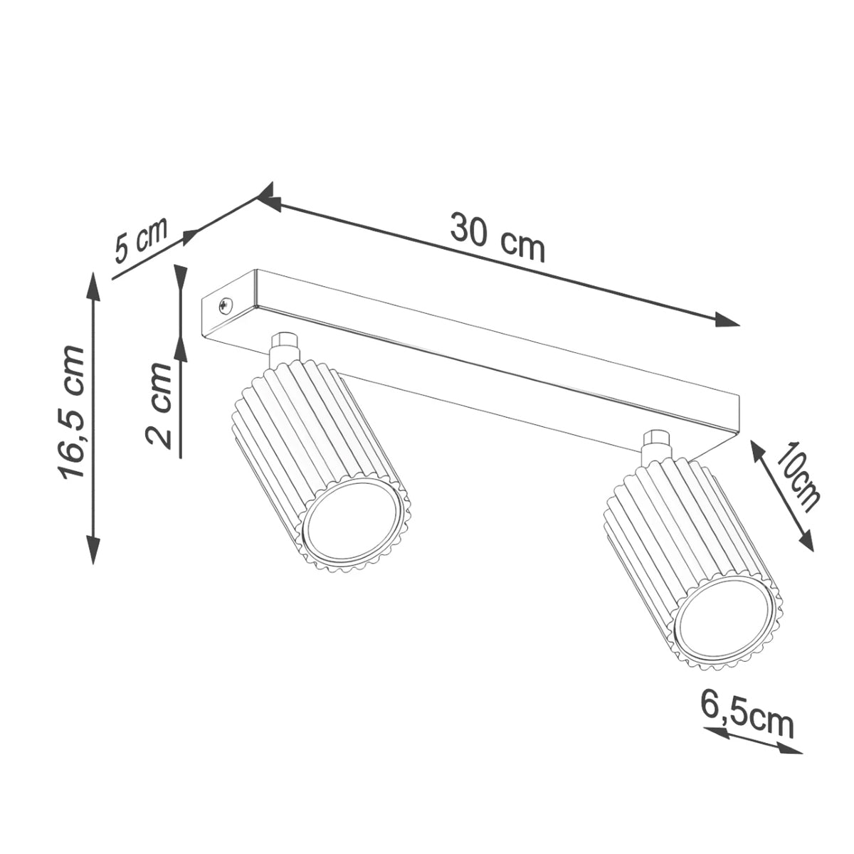 Aluminium Ceiling Light With 2 Karbon Lamps - Deep Space