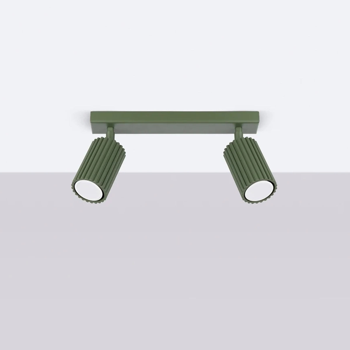 Aluminium Ceiling Light With 2 Karbon Lamps - Deep Space