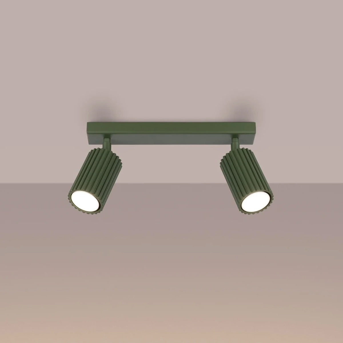 Aluminium Ceiling Light With 2 Karbon Lamps - Deep Space