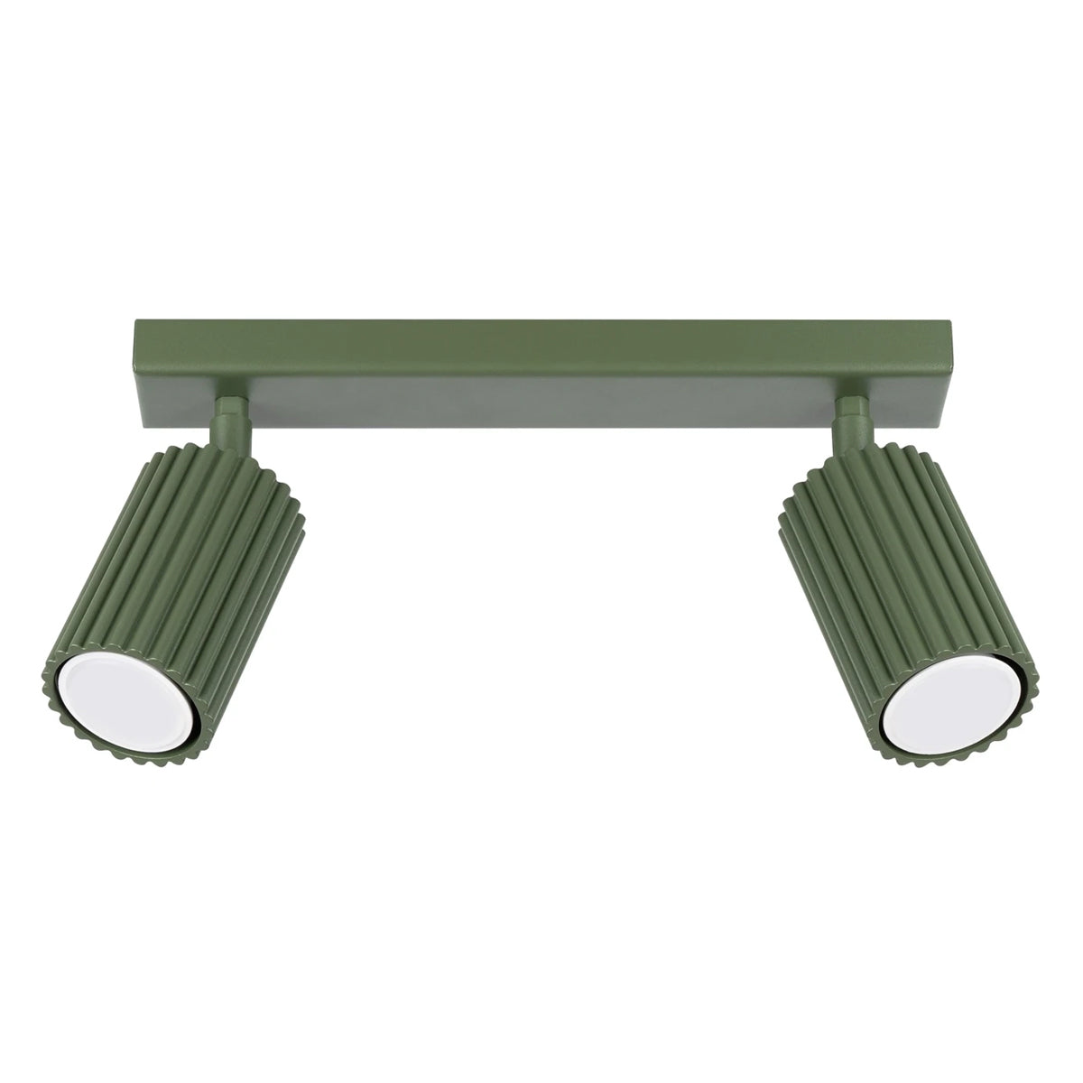 Aluminium Ceiling Light With 2 Karbon Lamps - Deep Space