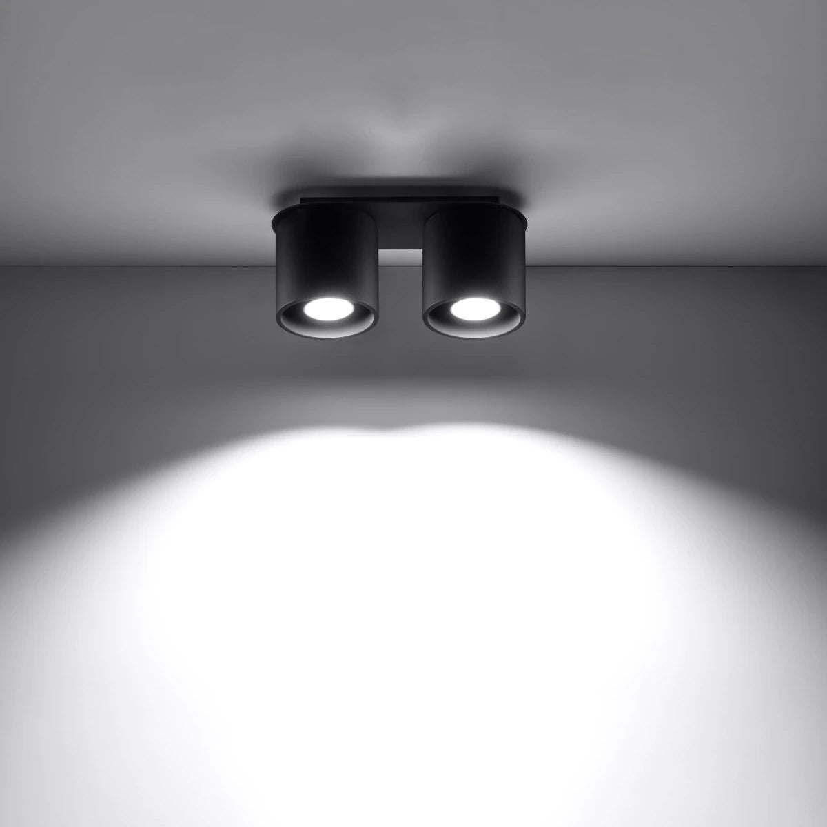 Aluminium Ceiling Light With 2 Orbis Lamps - Deep Space