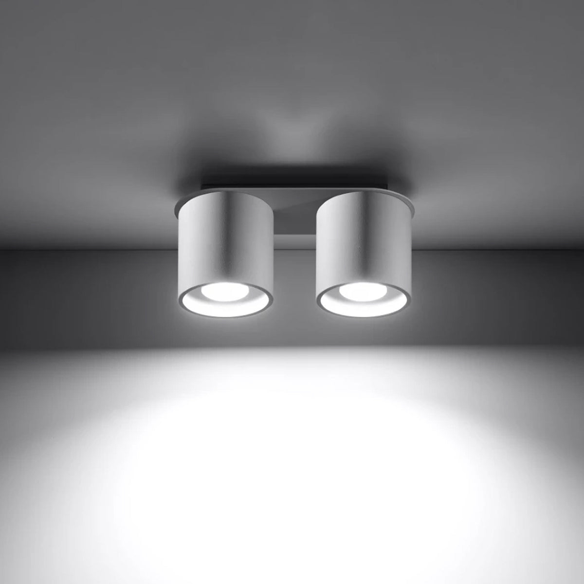 Aluminium Ceiling Light With 2 Orbis Lamps - Deep Space
