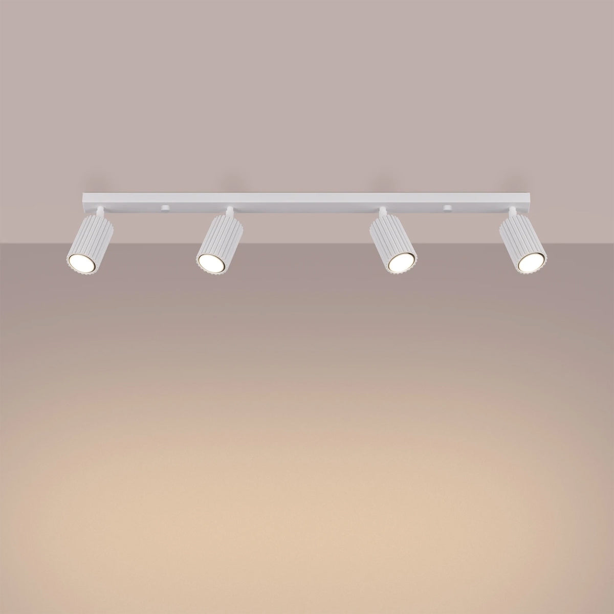 Aluminium Ceiling Light With 4 Karbon Lamps - Deep Space