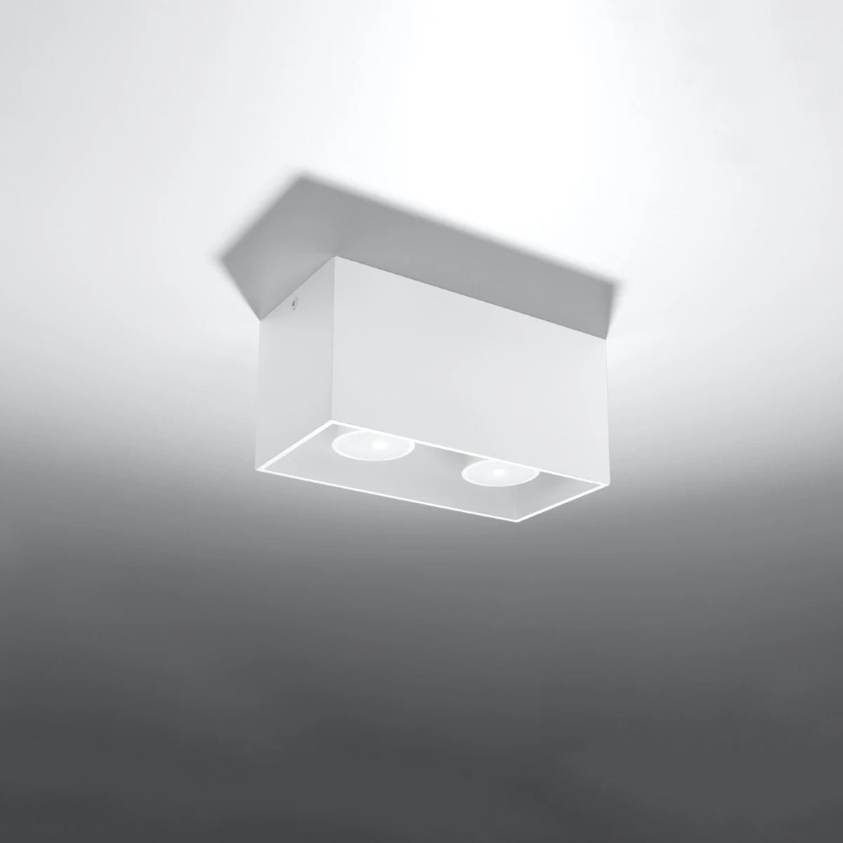 Aluminium Ceiling Light Rectangular With Quad Lamp - Deep Space