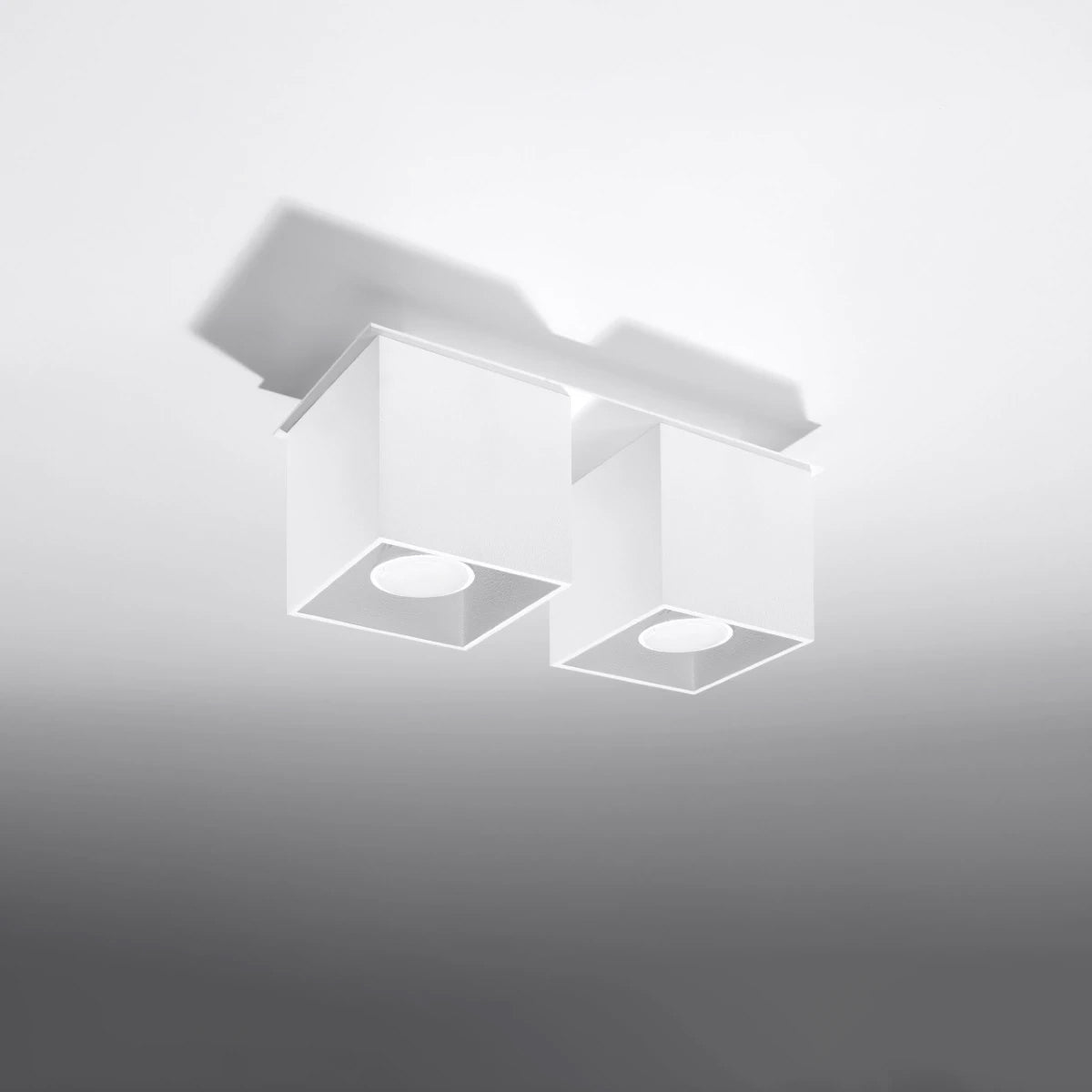 Aluminium Ceiling Light Square With 2 Quad Lamps - Deep Space