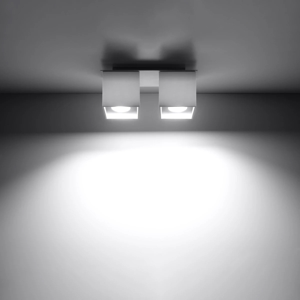 Aluminium Ceiling Light Square With 2 Quad Lamps - Deep Space