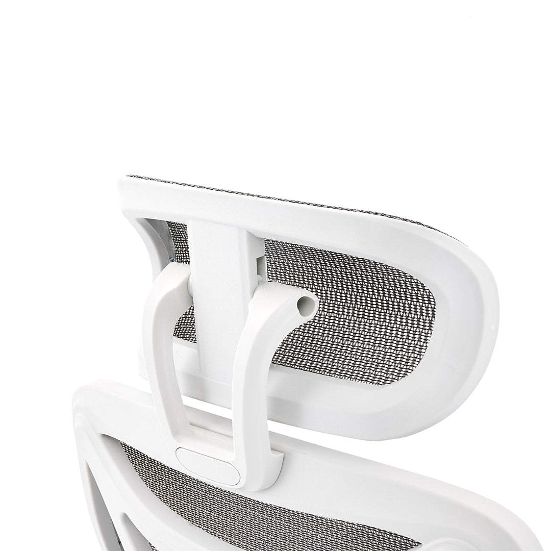 Mesh Fabric Home And Office Chair - Elite