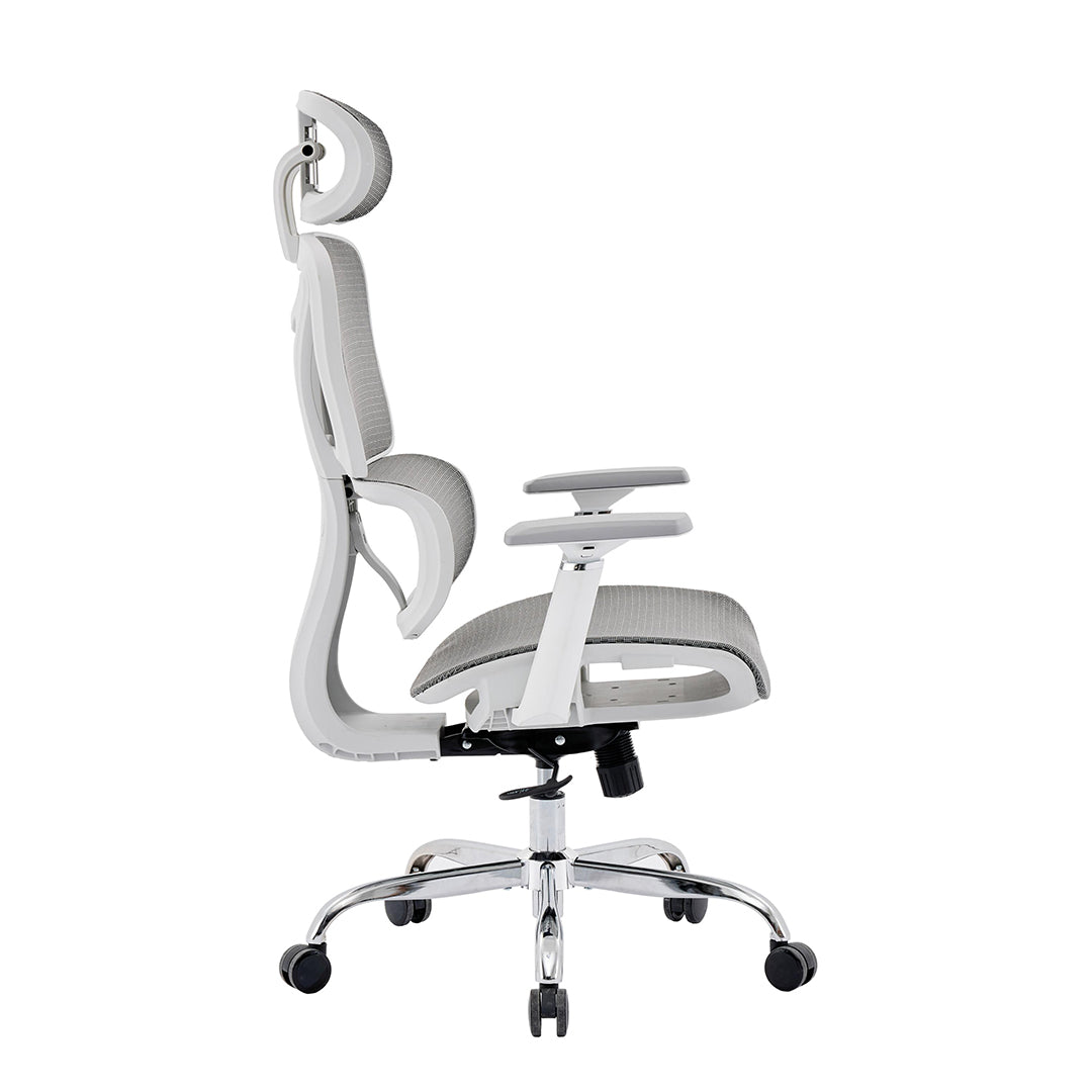 Mesh Fabric Home And Office Chair - Elite