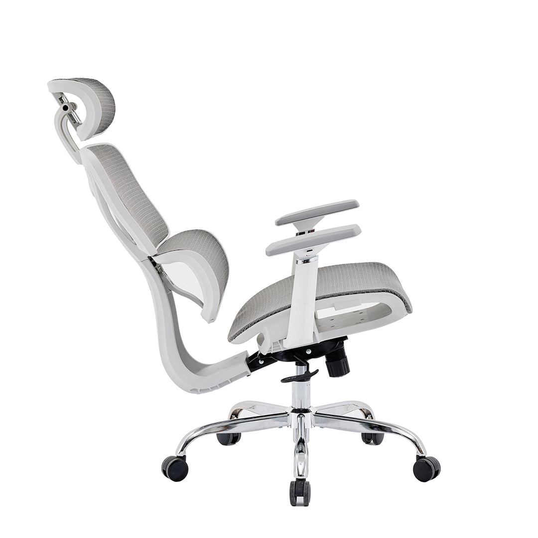 Mesh Fabric Home And Office Chair - Elite