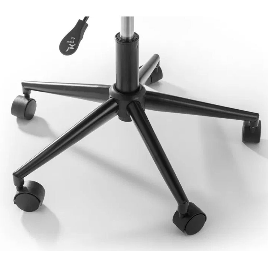 Polyethene Home And Office Chair With PU Cushion - Erika