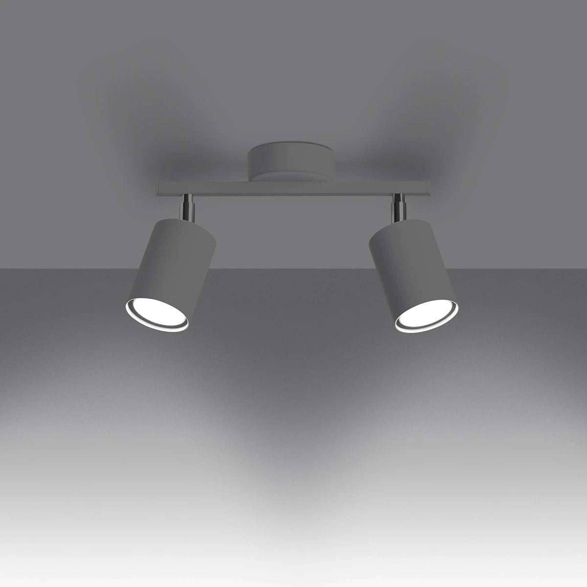 Steel Ceiling Light With 2 Lemmi Lamps - Bittersweet Shimmer