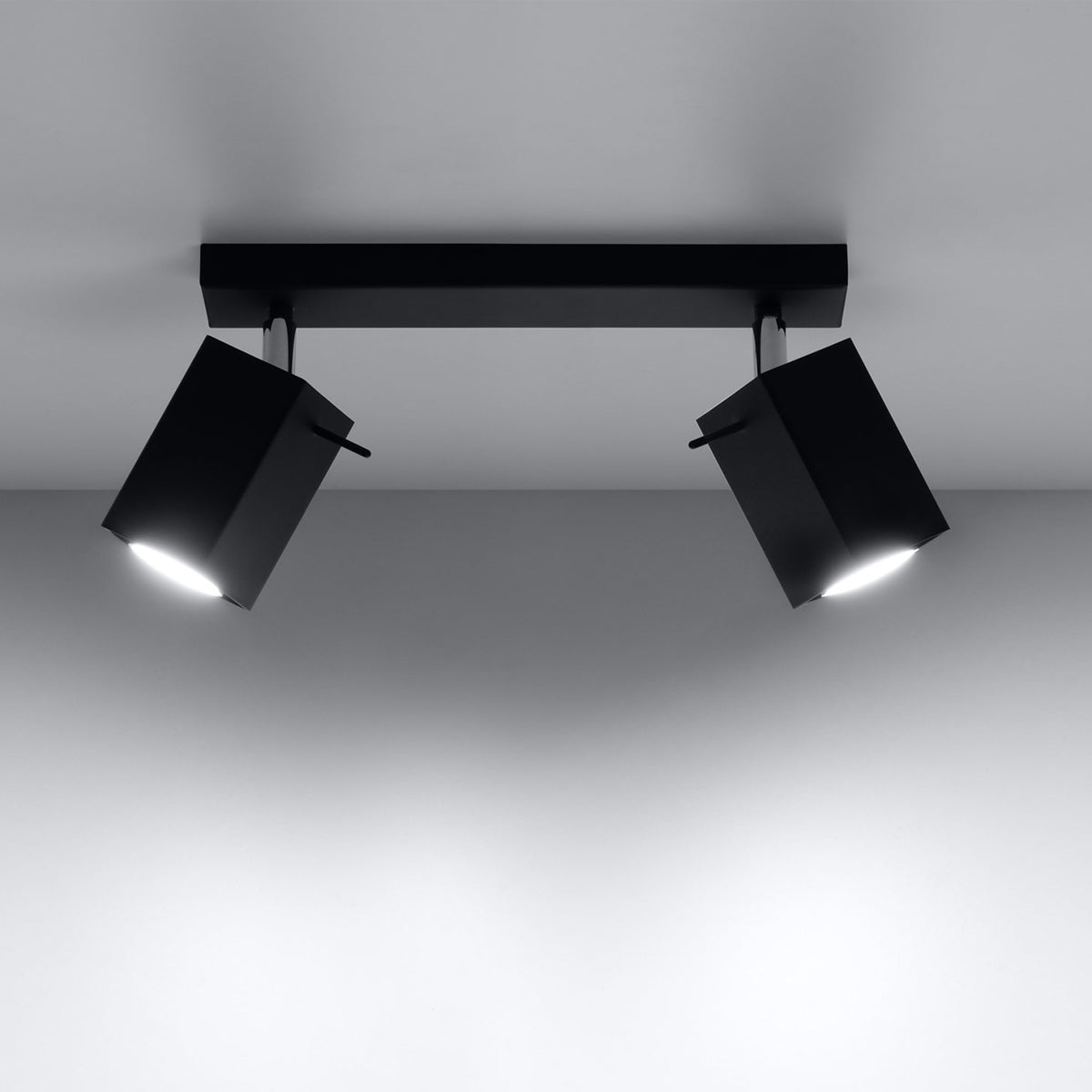 Steel Ceiling Light With 2 Merida Lamps - Bittersweet Shimmer