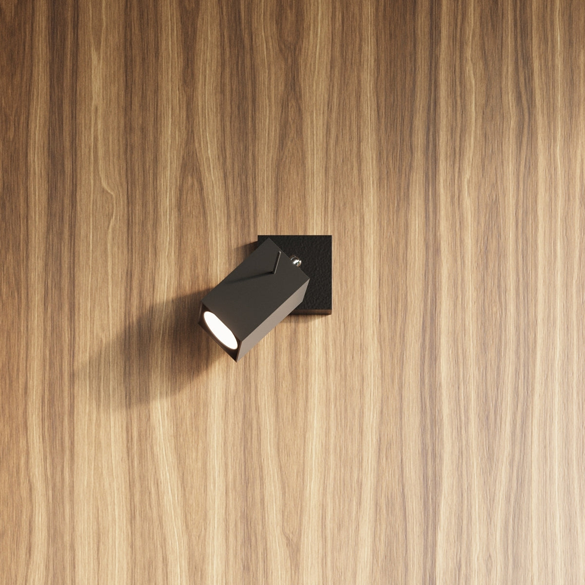 Steel Ceiling Light With 2 Merida Lamps - Bittersweet Shimmer