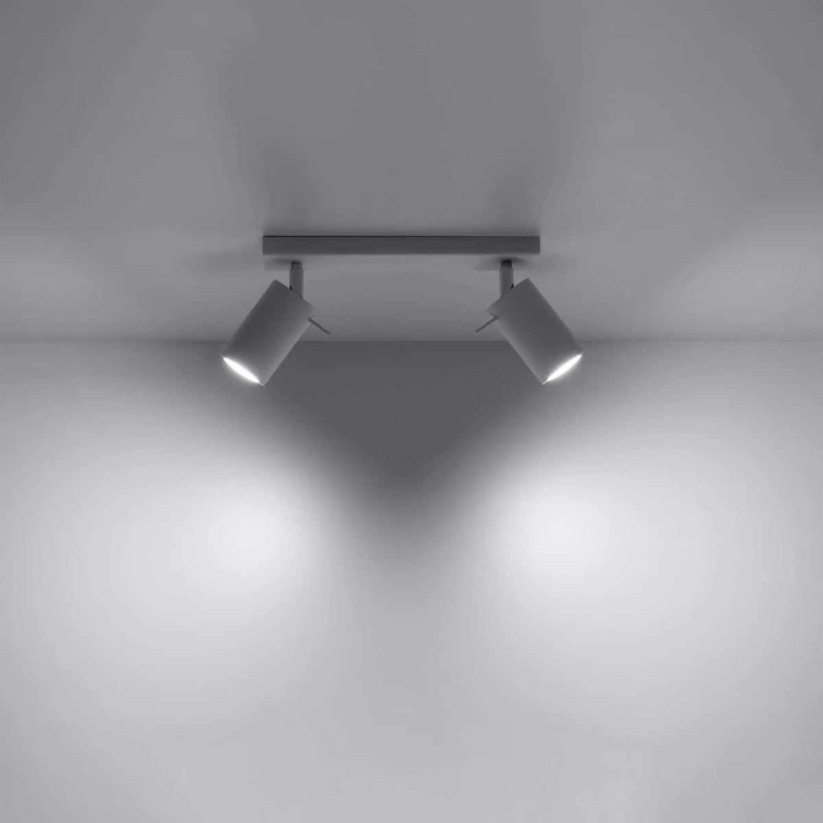 Steel Ceiling Light With 2 Ring Lamps - Bittersweet Shimmer