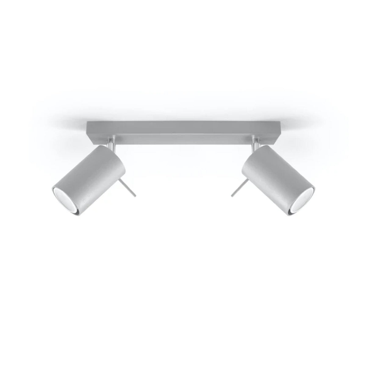 Steel Ceiling Light With 2 Ring Lamps - Bittersweet Shimmer