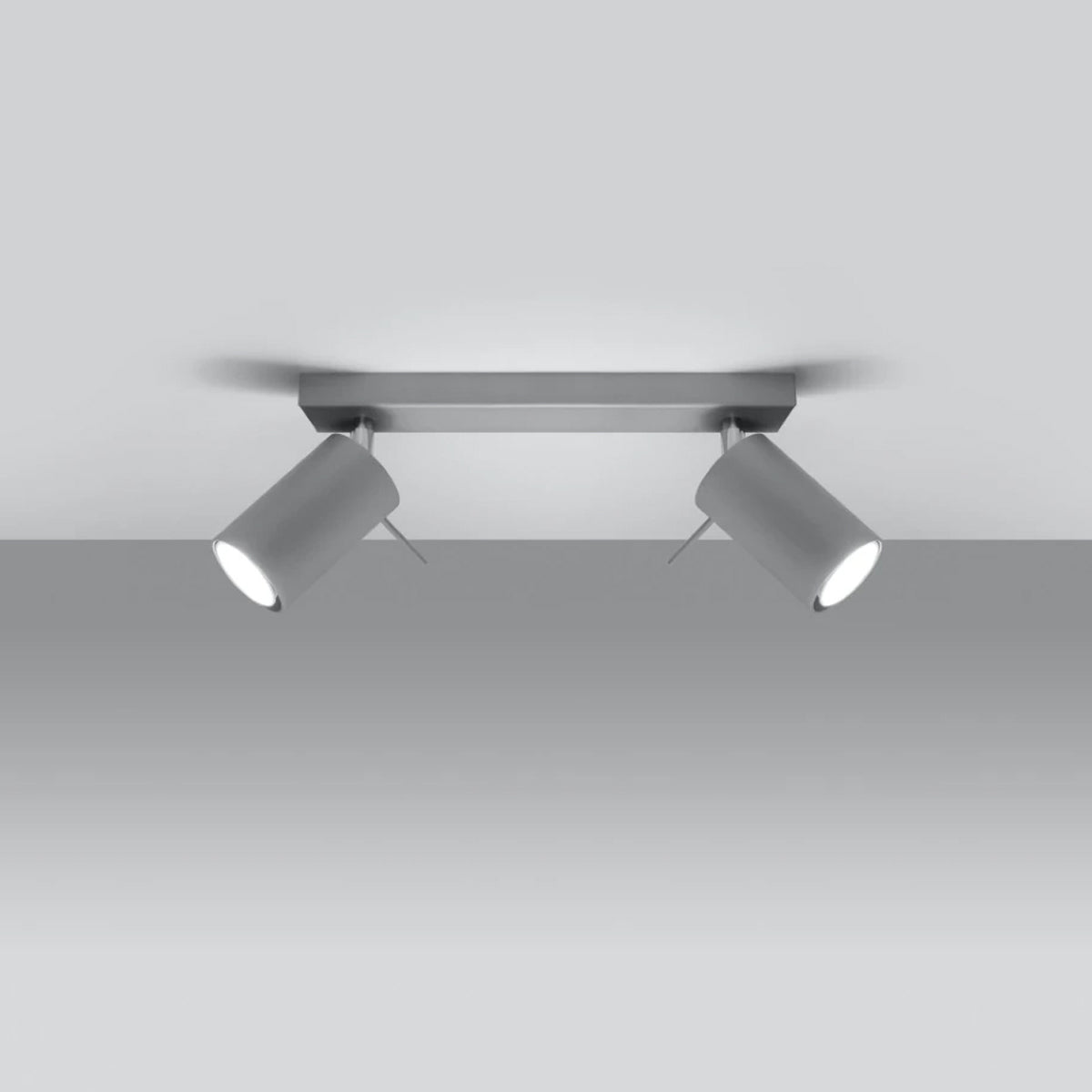 Steel Ceiling Light With 2 Ring Lamps - Bittersweet Shimmer