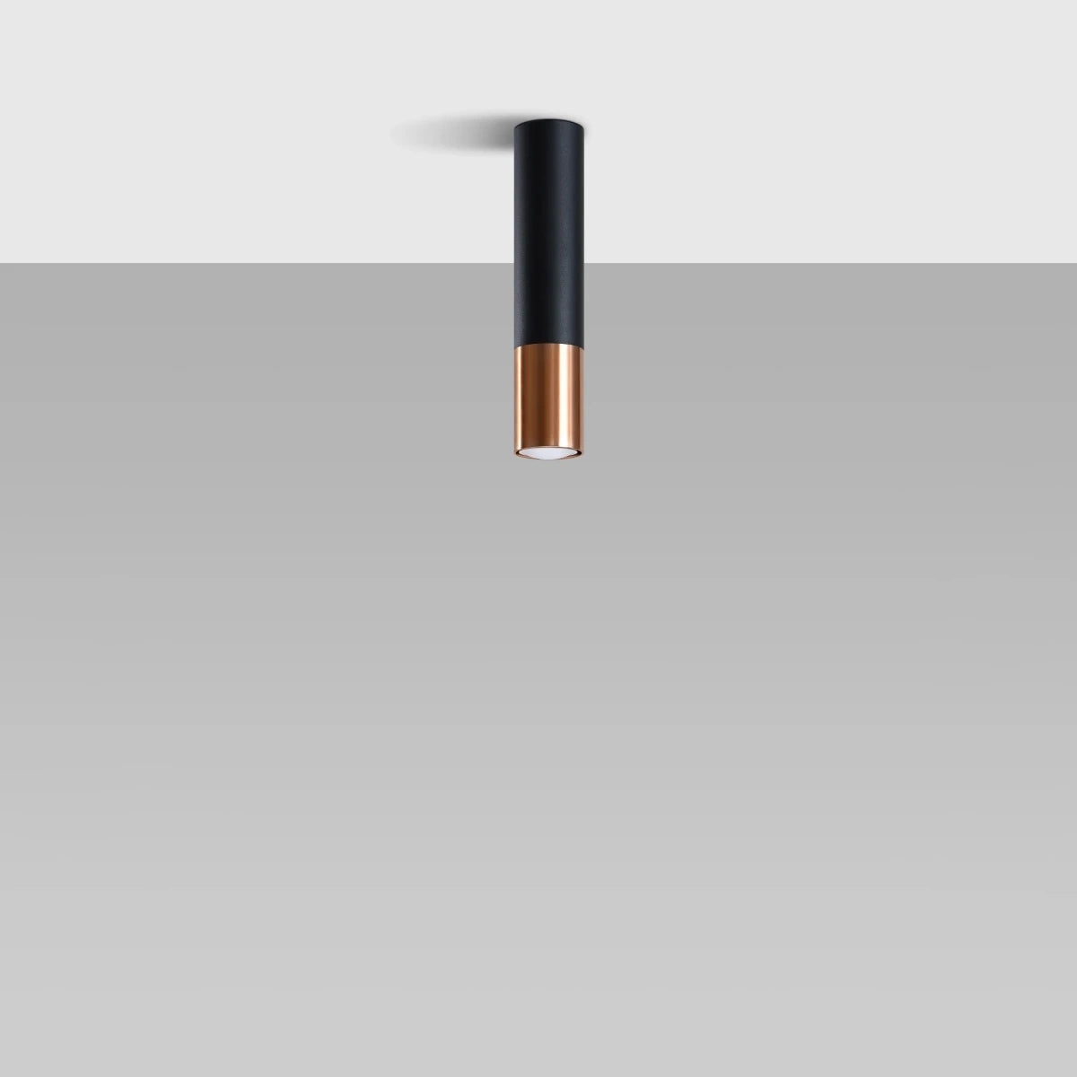 Steel Ceiling Light With Loopez Lamp in Black - Ocean Green