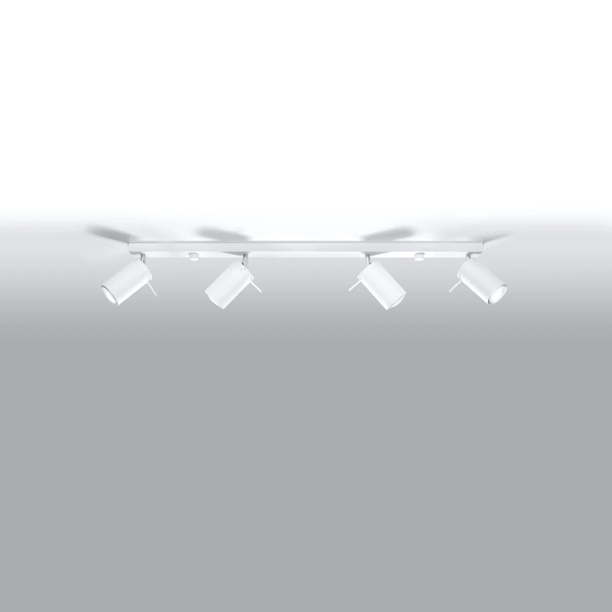 Steel Ceiling Light Rectangular With 4 Ring Lamps - Bittersweet Shimmer