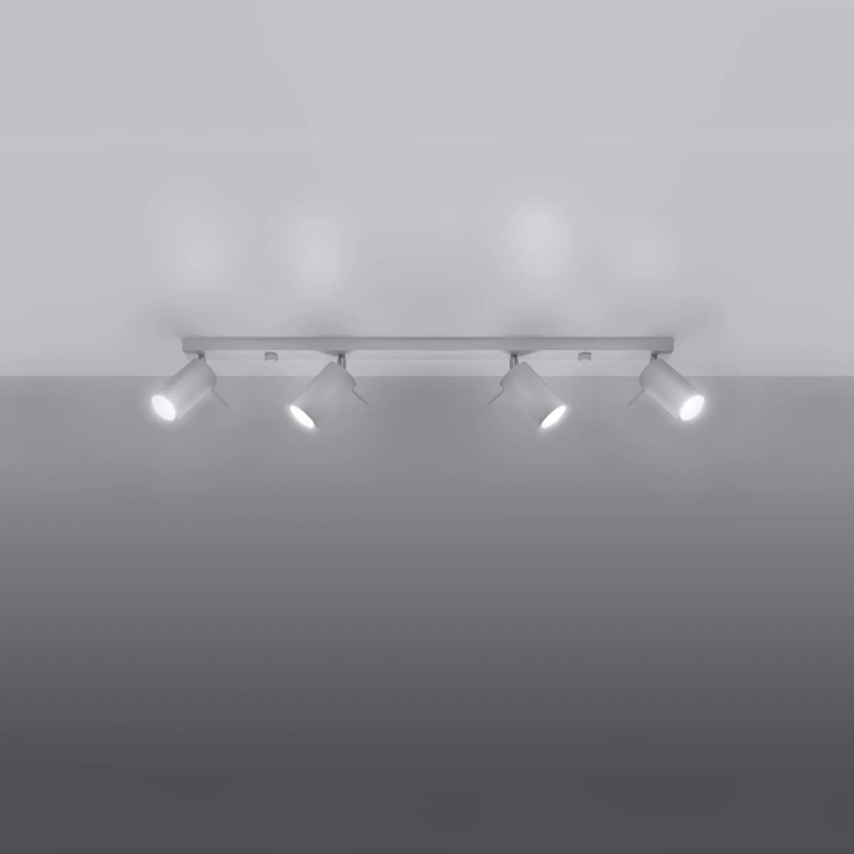 Steel Ceiling Light Rectangular With 4 Ring Lamps - Bittersweet Shimmer