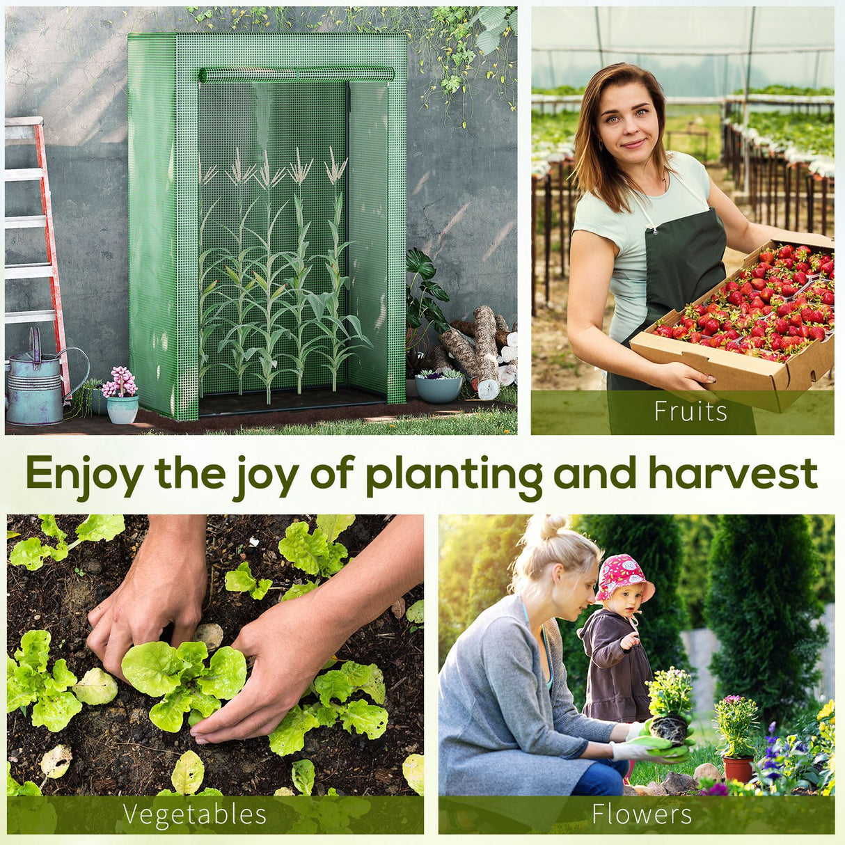 Steel Frame Garden Tomato Greenhouse With Roll-UP Door - Velmora