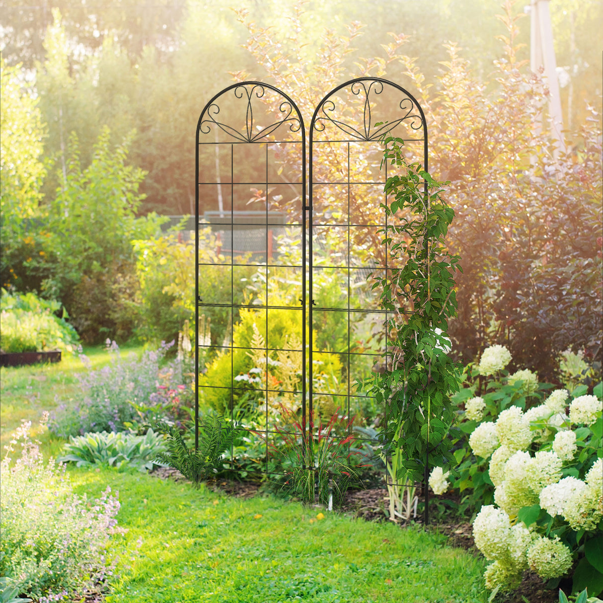 Steel Garden Trellis 50cm Wide in Set Of 2 Grid Design - Velmora
