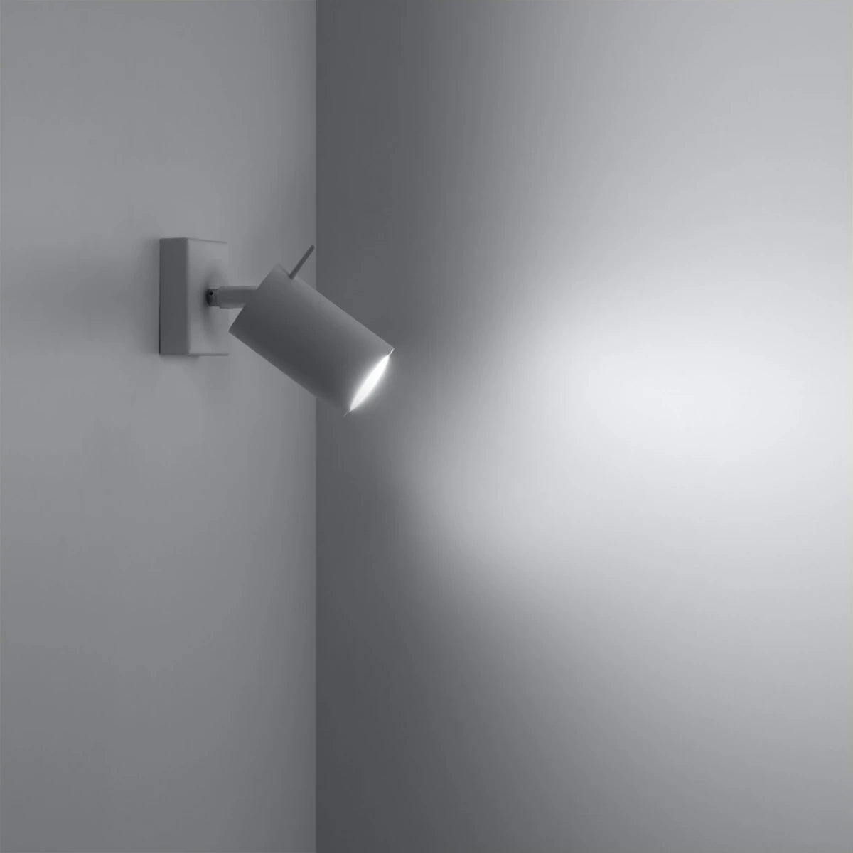 Steel Wall Light With Ring Lamp - Bittersweet Shimmer