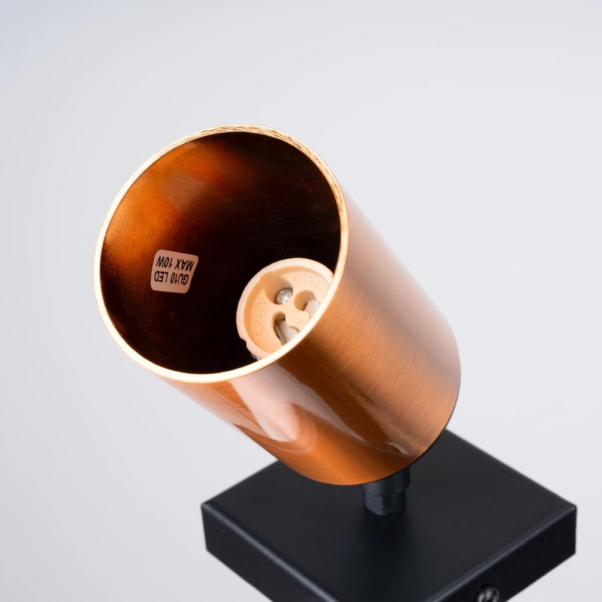 Steel Wall Light With Winx Lamp - Bittersweet Shimmer