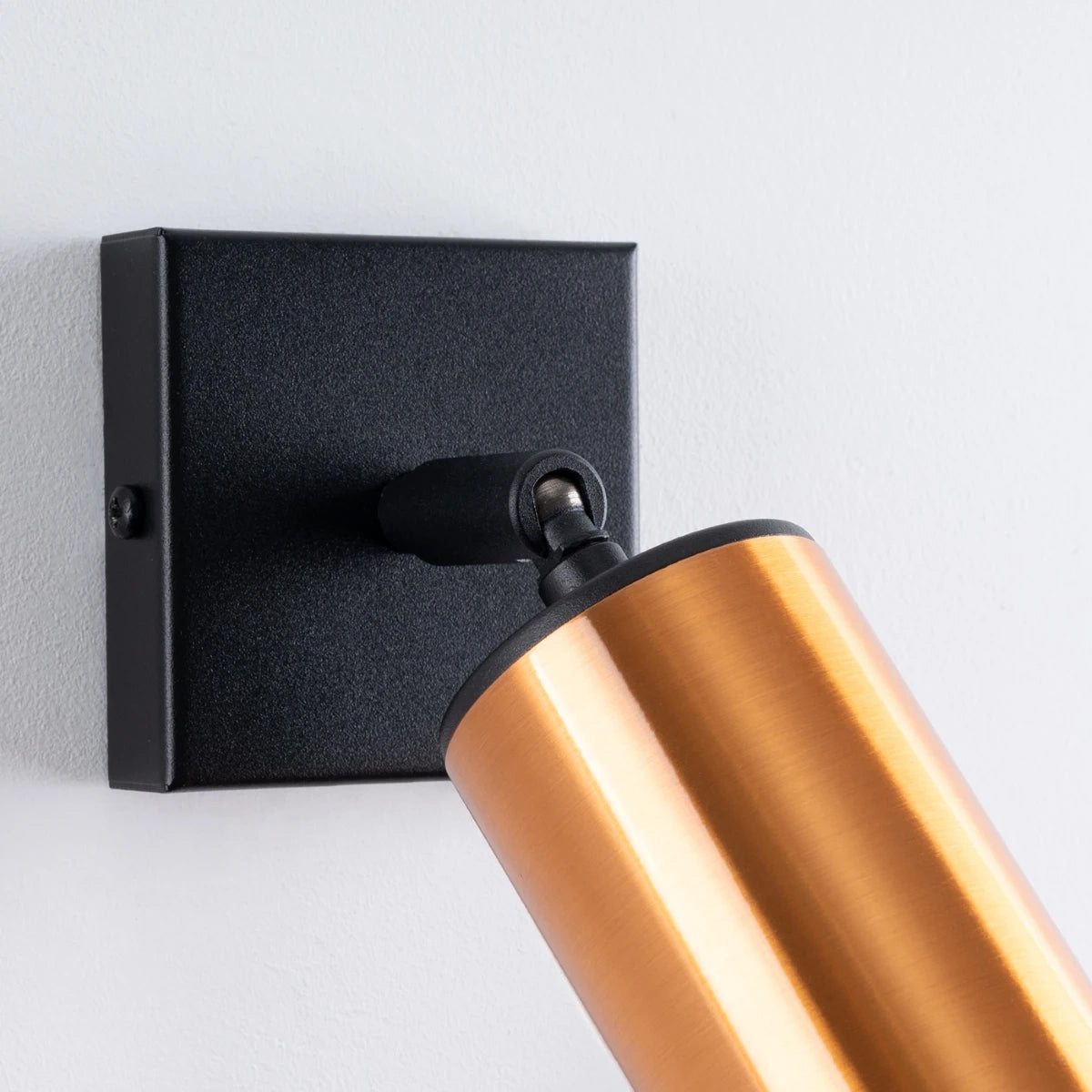 Steel Wall Light With Winx Lamp - Bittersweet Shimmer