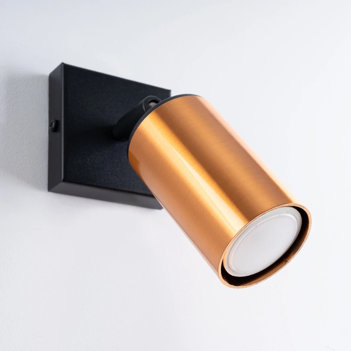 Steel Wall Light With Winx Lamp - Bittersweet Shimmer