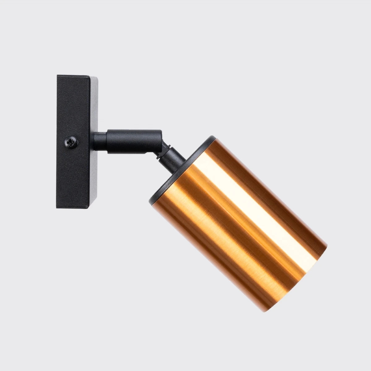 Steel Wall Light With Winx Lamp - Bittersweet Shimmer