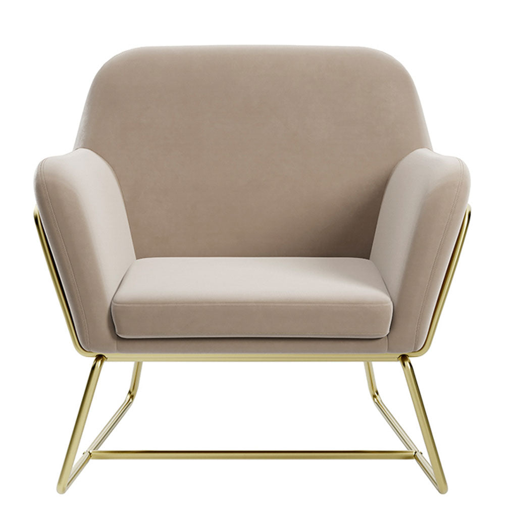 Velvet Armchair With Gold Frame - Charles