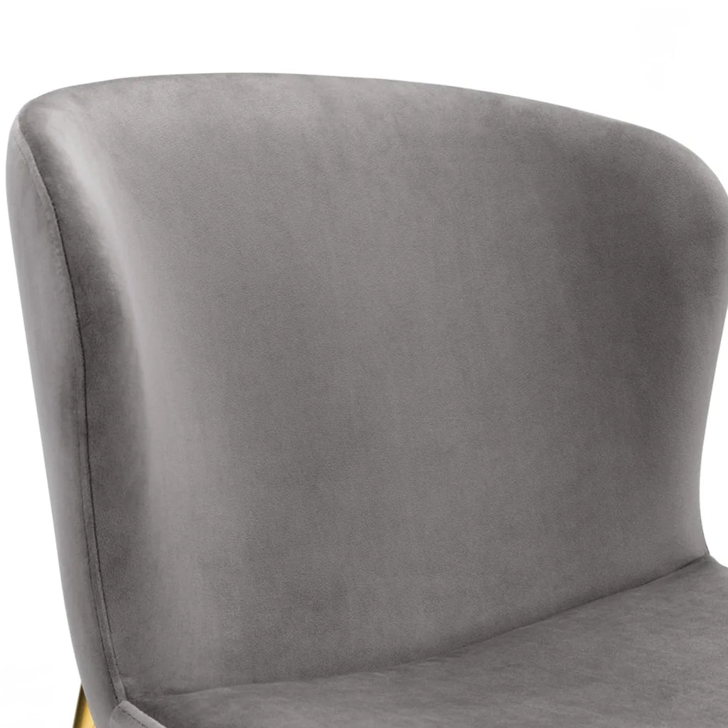 Velvet Dining Chairs in Set Of 2 With Gold Metal Legs - Harper