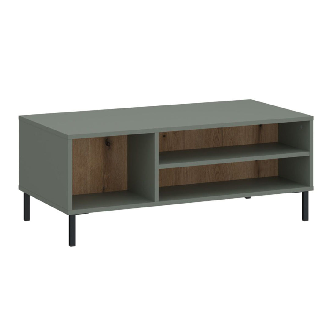 Wooden Coffee Table With Shelves Rectangular - Darwin