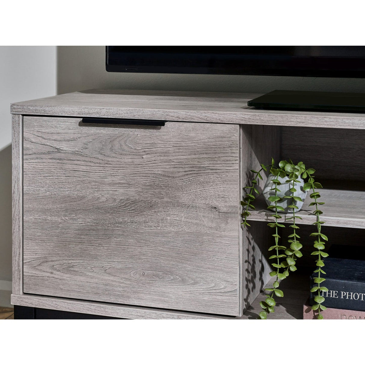 Wooden TV Stand With 1 Door And 2 Drawers - Bali
