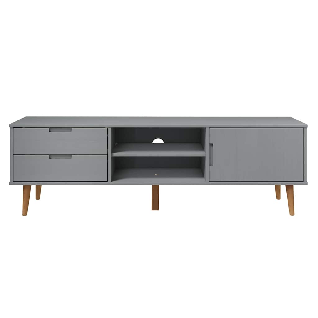 Wooden TV Stand With 1 Door And 2 Drawers - Molde