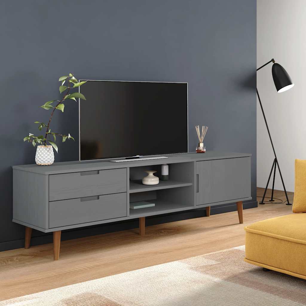 Wooden TV Stand With 1 Door And 2 Drawers - Molde