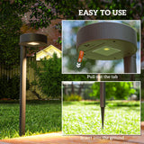 ABS Plastic Garden Solar Stake Lights in Set of 8 With Auto On-Off - Velmora