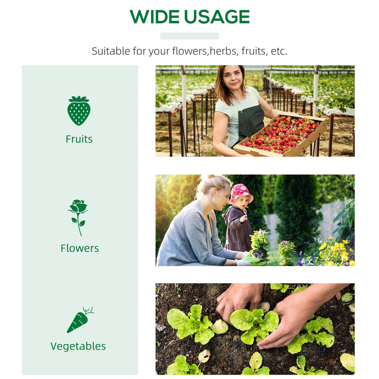 Alloy Steel Frame Garden Greenhouse 120cm Wide - Velmora