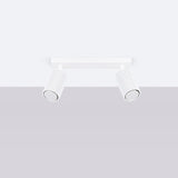 Aluminium Ceiling Light With 2 Karbon Lamps - Deep Space