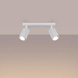 Aluminium Ceiling Light With 2 Karbon Lamps - Deep Space