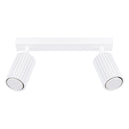 Aluminium Ceiling Light With 2 Karbon Lamps - Deep Space