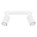 Aluminium Ceiling Light With 2 Karbon Lamps - Deep Space