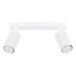 Aluminium Ceiling Light With 2 Karbon Lamps - Deep Space