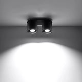 Aluminium Ceiling Light With 2 Orbis Lamps - Deep Space